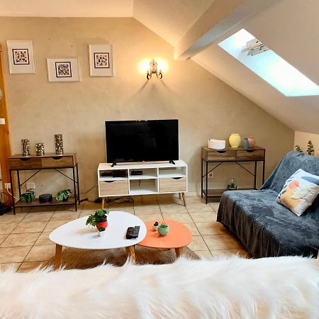 Charmant Appart Sous Toits Proche Chateau Des Ducs Chambéry Dış mekan fotoğraf